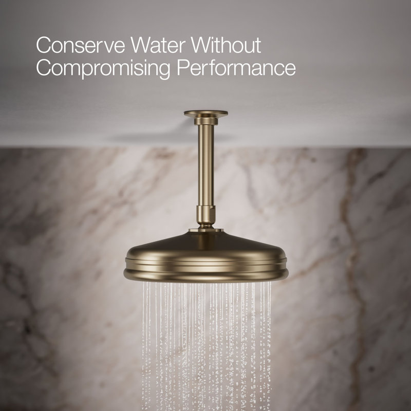 Traditional Rain Shower Head, Vibrant Brushed Bronze