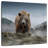 Brampt Over The Mountain-109227600