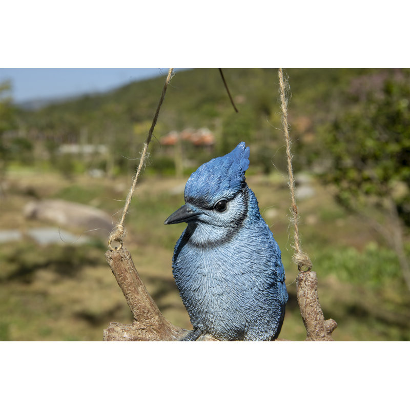 Hanging Jay on a Branch