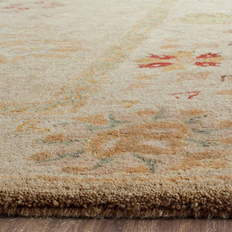 Tapis oriental taupe en laine touffeté à la main Armintha, Rectangle 5 pi x 8 pi
