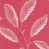 Rose est en rupture de stock