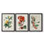Turpin Tropical Botanicals VI - Toile tendue avec châssis sur mesure - 3 pièces-333046931-333046933
