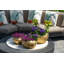 Dorn Metal Pot Planter