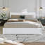 Harlowe Wood Platform Bed with Trundle-2058496869-2058496872