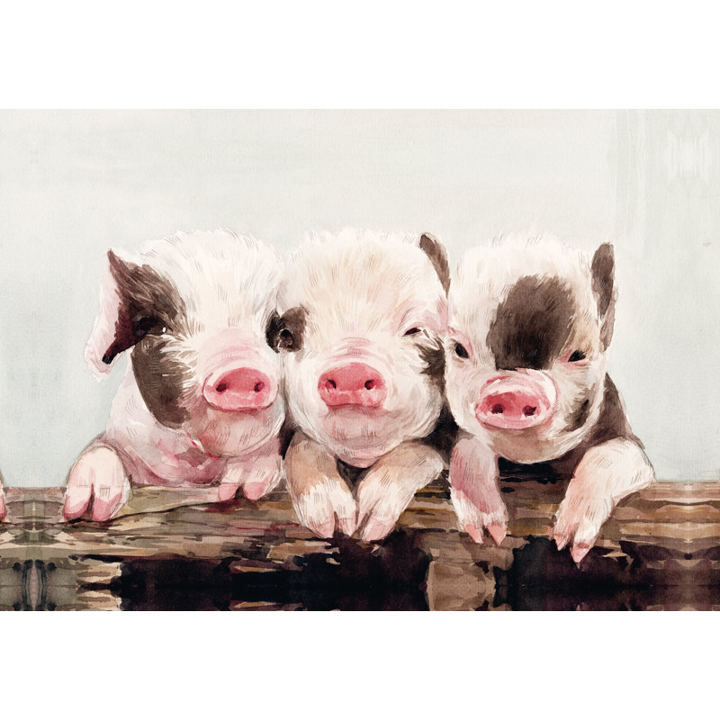 Three Lil Pigs - Painting Print, 81cm H x 122cm W, Wrapped Canvas