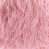 Rose est en rupture de stock