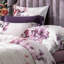Bedding-764634542