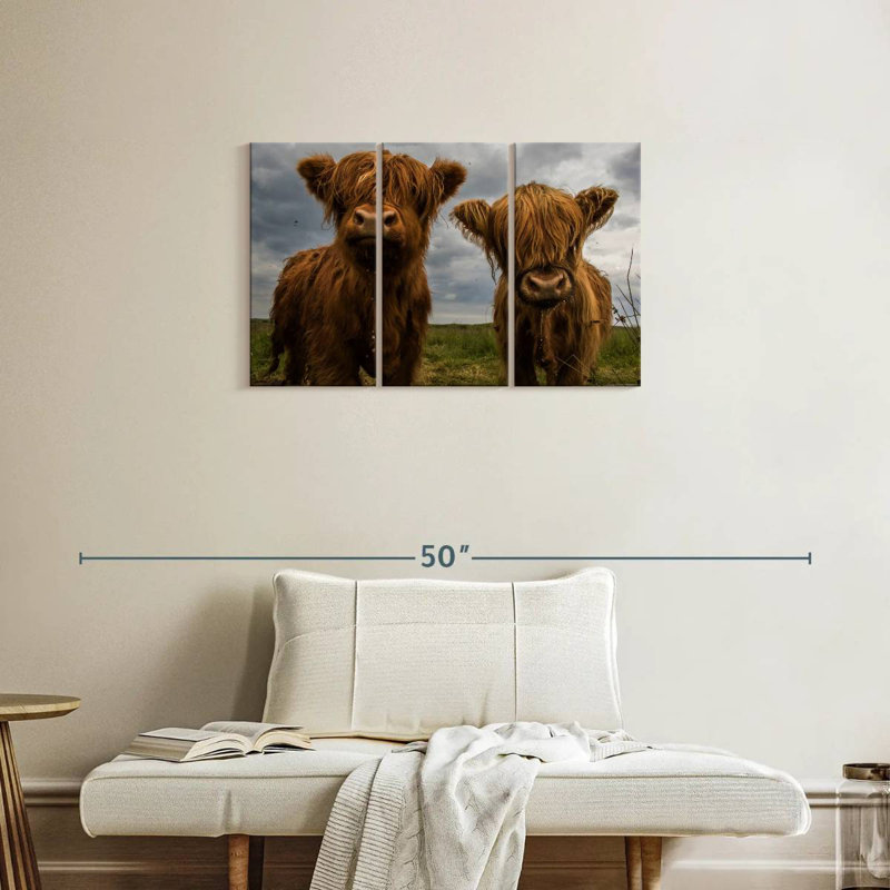 Brampt Baby Highland Cows, H 20 po x l 33 po