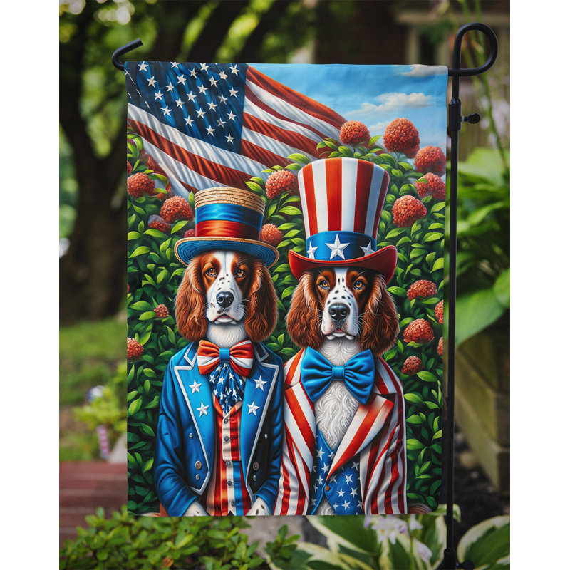 Drapeau All American Garden, Épagneul Springer gallois
