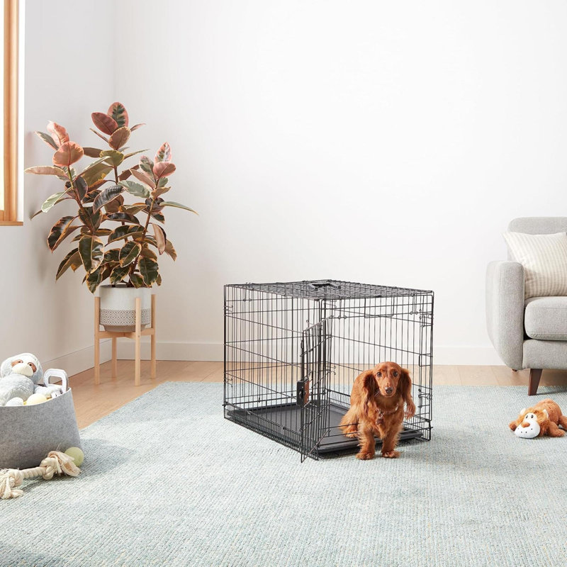 Cage pour chien durable et pliable en métal avec plateau, porte simple
