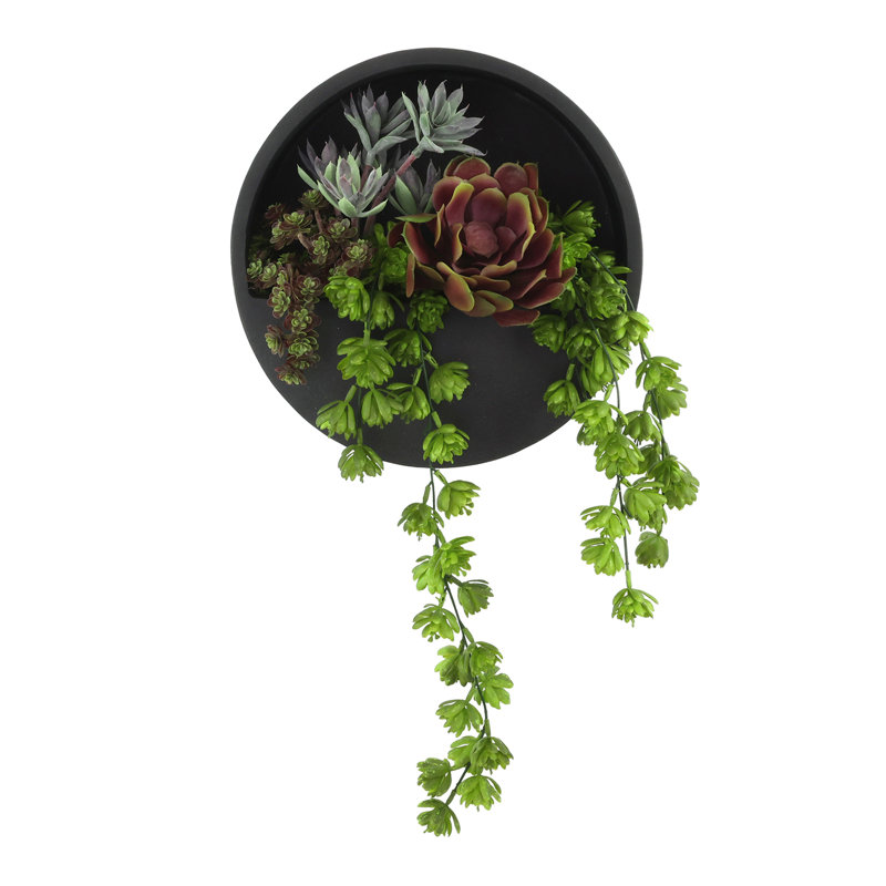 Succulent et Sedum disposés dans un pot suspendu en Fiberstone, Noir