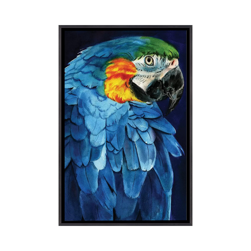 Ara bleu par Rachel Parker - reproduction d'art, H 40 po x l 26 po x P 1,5 po, Toile avec cadre noir patiné, Aucun mat