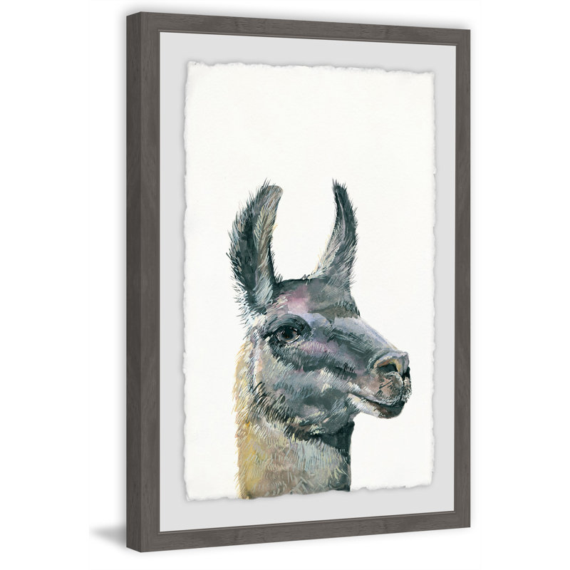 Side Eye - Single Picture Frame Print, 91 cm H x 61 cm W