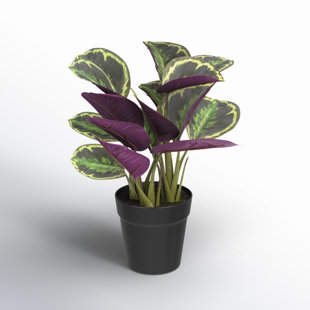 16.1'' Faux Calathea Plant in Pot