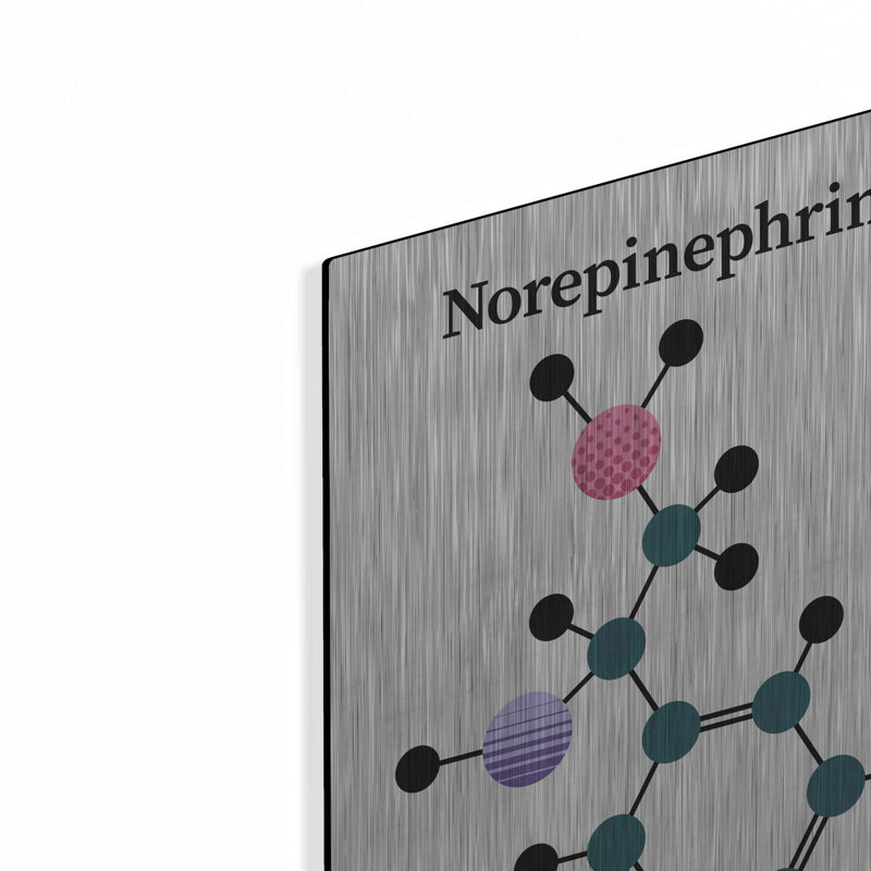 Trinx «Norepinephrine Molecule» par Luxe Portfolio, art mural en métal, H 24 po x l 16 po