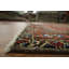 Élégance: tapis traditionnel 4 x 5