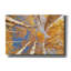 "Aspen II sur toile" par Lori Deiter-1863468849