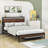 Wilhelmi Metal Platform Bed Frame with Trundle and USB Ports-1270646391-1270646385