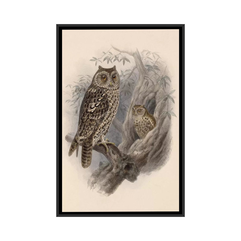 «Tree Owls, 1902», impression sur toile, H 26 po x l 18 po x P 1,5 po, Toile avec cadre noir, Pas de tapis