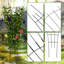 81.28cm H Plant Stand