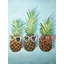 «Summer Pineapples», reproduction sur toile