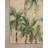 Loloi Botanical Clay / Green Area Rug-856232408
