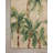 Loloi Botanical Clay / Green Area Rug-856232409