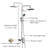 Shower Faucet