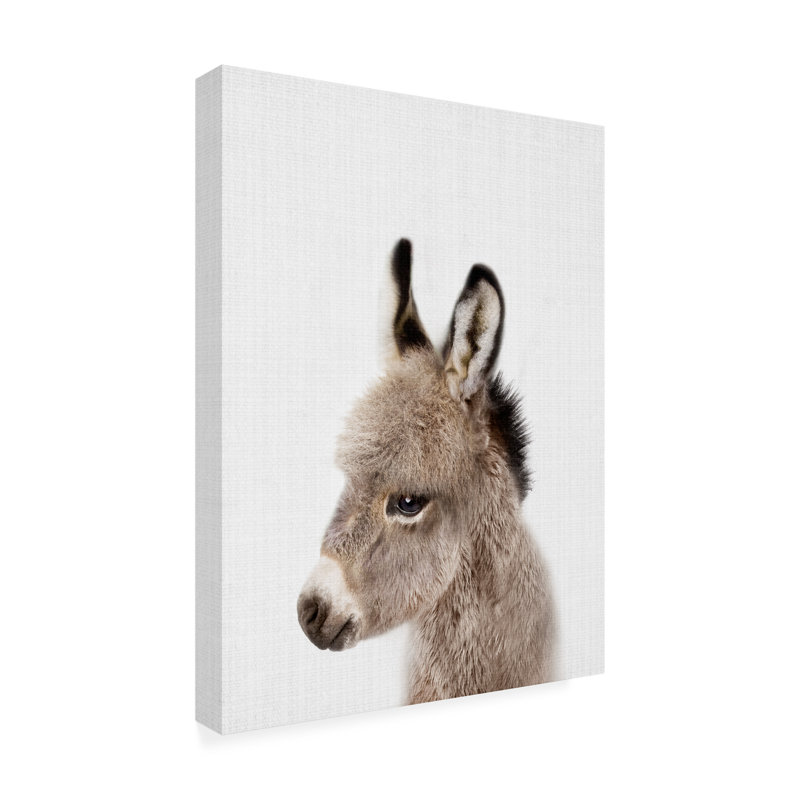 «Peekaboo Baby Donkey» par Lola Peacock, H 47 po x l 35 po x P 2 po