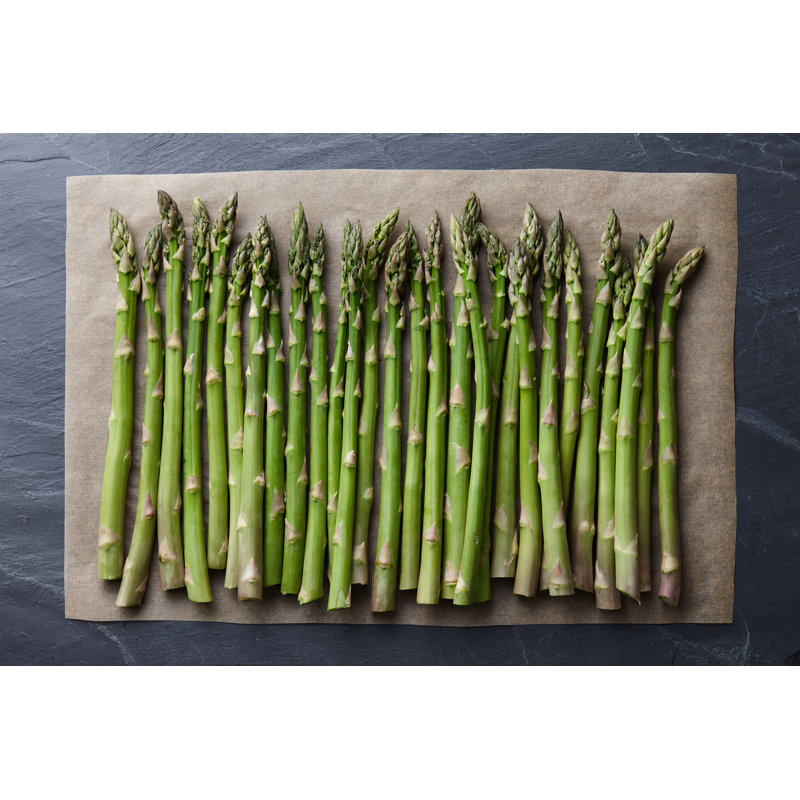 Asparagus - Wrapped Canvas Print, 61cm H x 91cm W x 3.8cm D