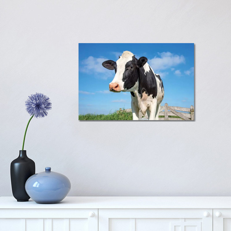 Cute Cow 1 Piece Wrapped Canvas Wall Art, 30.48 cm H x 45.72 cm W