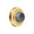 PVD Polished Brass