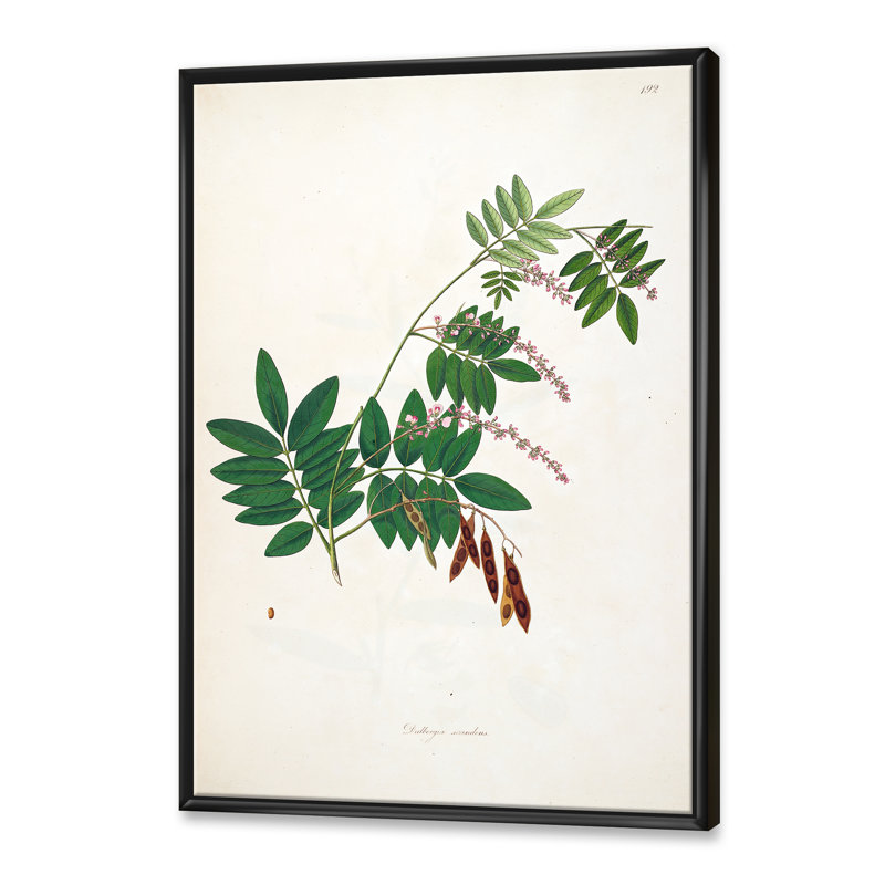 Botanique rétro - peinture sur toile, H 20 po x l 12 po x P 1po, Cadre flottant noir