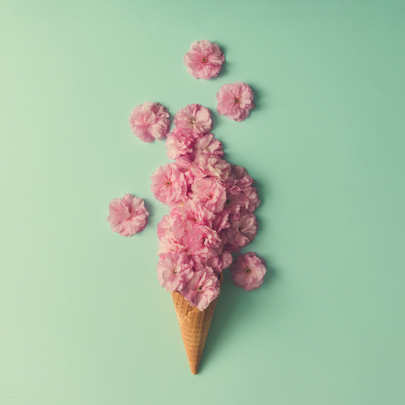 Ice Cream Cone With Pink Flowers - Wrapped Canvas Print, 122cm H x 122cm W x 3.8cm D