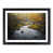 Black Framed