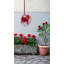 Ventilateur de plafond 3 pales 16 "avec commande murale-460943864-460943856-460943868