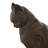 Cole And Grey Resin Frowning Cat Decorative Bookends With Copper Accents