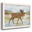 Mountain Moose, reproduction d'art sur toile-1285441270-1285441272