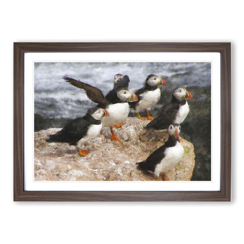 Atlantic Puffin Birds Vol.3 - Picture Frame Graphic Art, Walnut Framed, 36cm H x 48cm W x 2cm D