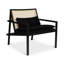 Modern Brazilian Lounge Chair-1046896064
