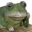 Statue de lecture de grenouille 