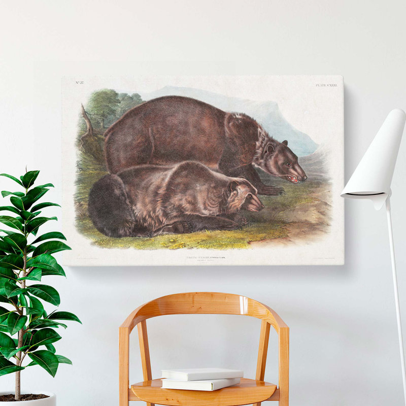 Grizzly Bears by J.W. Audubon - Wrapped Canvas Painting, 35cm H x 50cm W x 3cm D