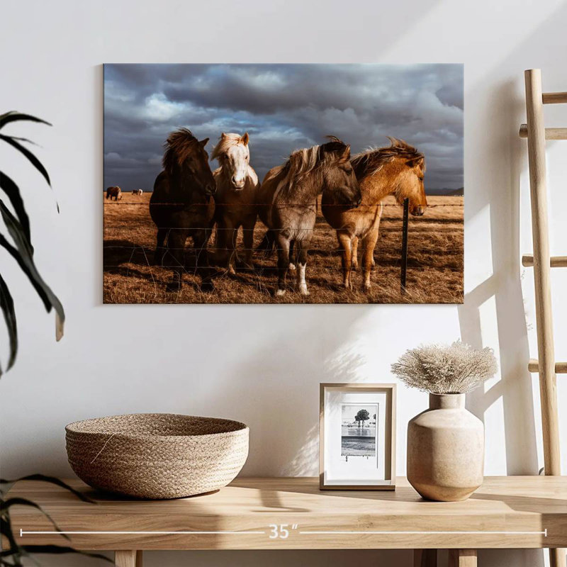 Brampt Iceland Pony, 16" H x 24" W