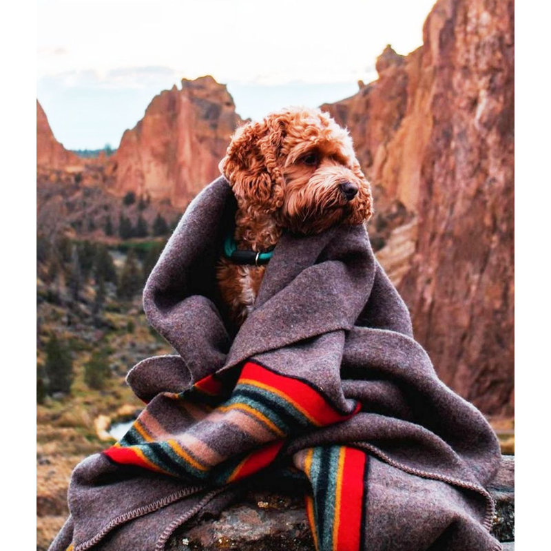 Pendleton Yakima Camp Lake Throw, Throw