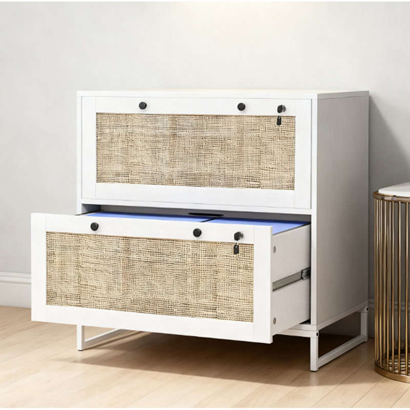 2 Drawer File Cabinet With Adjustable Hanging Bar, Accent Cabinet, White