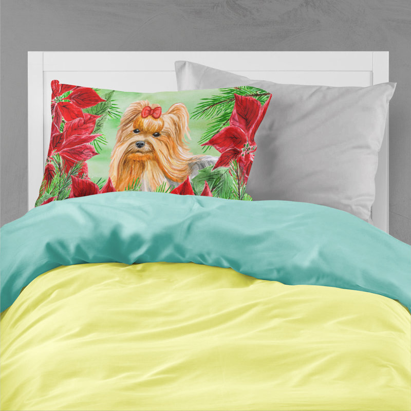 Microfiber, Yorkshire Terrier