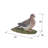 Mourning Dove On Grass Garden Statue