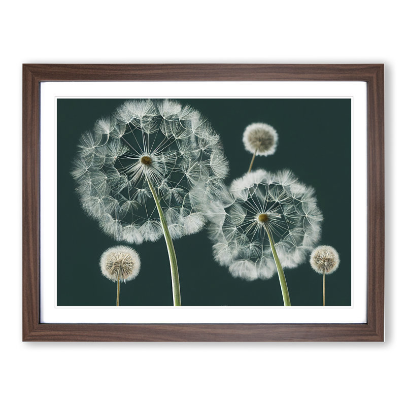 Magical Dandelion Flowers - Framed Print, 46cm H x 64cm W x 2cm D, Walnut