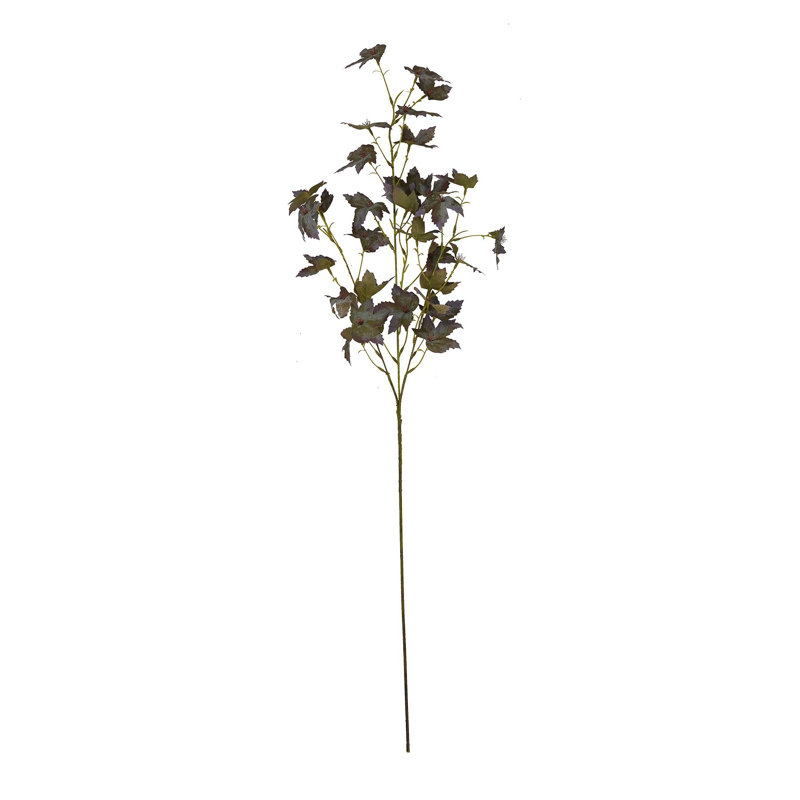 Anastasija Arrangement