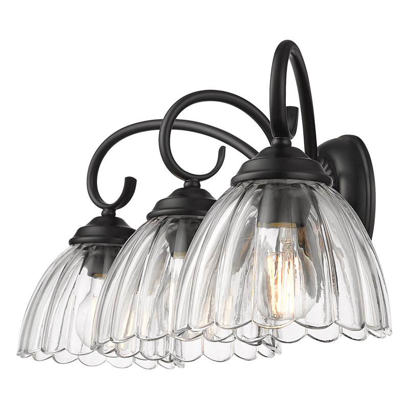 Marcinda 3-Light Vanity Light with Clear Glass, Matte Black